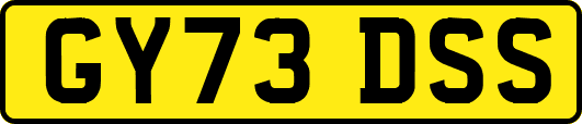 GY73DSS