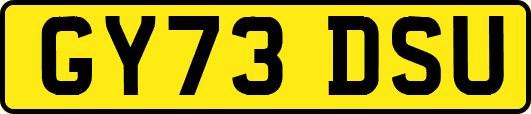 GY73DSU