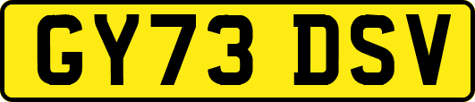 GY73DSV