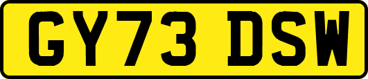 GY73DSW