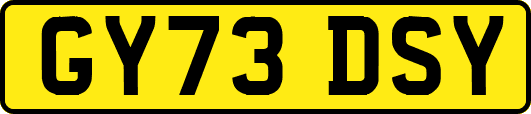 GY73DSY