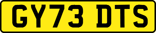 GY73DTS