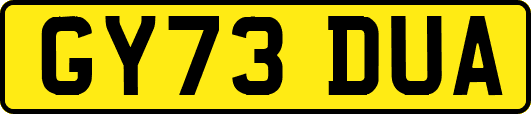 GY73DUA