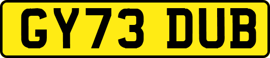 GY73DUB