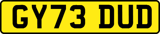 GY73DUD