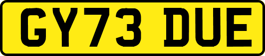 GY73DUE