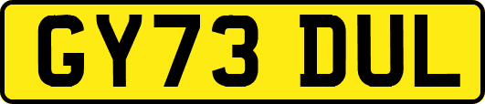 GY73DUL