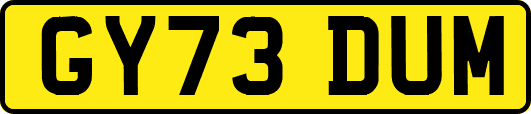 GY73DUM