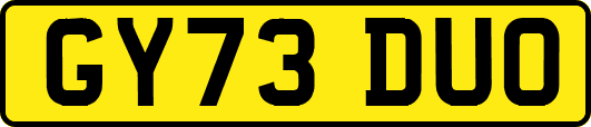 GY73DUO