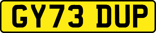 GY73DUP