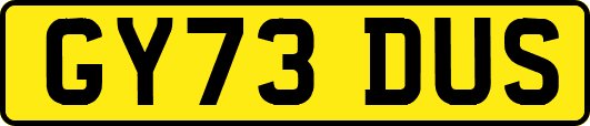 GY73DUS