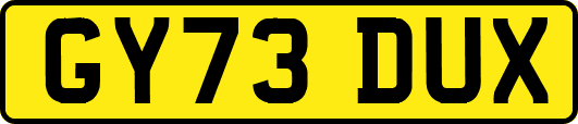 GY73DUX