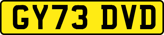 GY73DVD