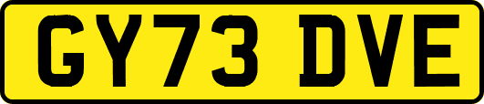 GY73DVE