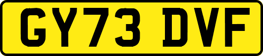 GY73DVF