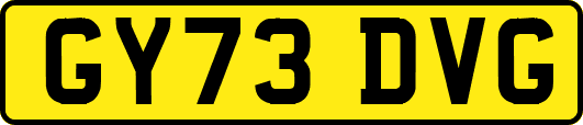 GY73DVG