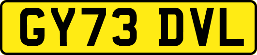 GY73DVL