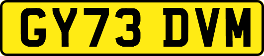 GY73DVM