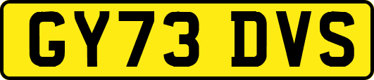 GY73DVS