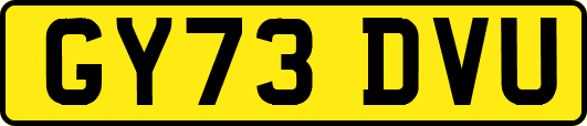 GY73DVU