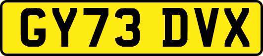 GY73DVX