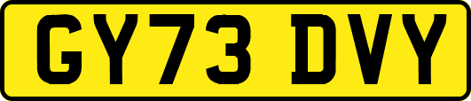 GY73DVY