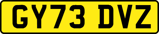 GY73DVZ