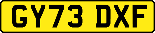 GY73DXF