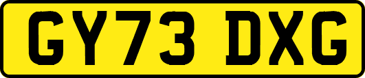 GY73DXG