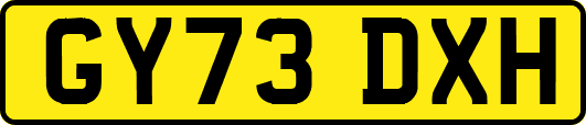 GY73DXH