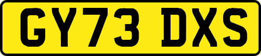 GY73DXS