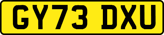 GY73DXU