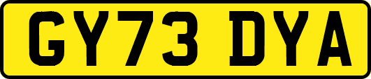 GY73DYA