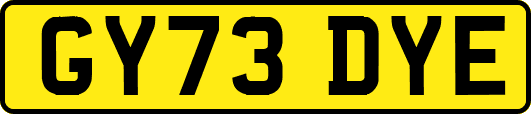 GY73DYE