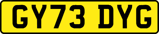 GY73DYG