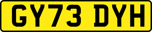 GY73DYH