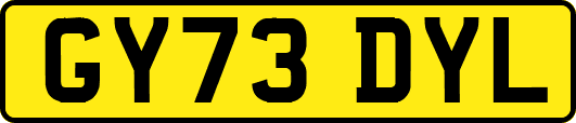 GY73DYL