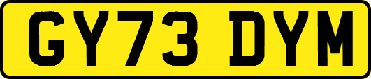 GY73DYM