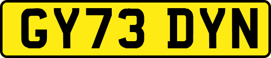 GY73DYN