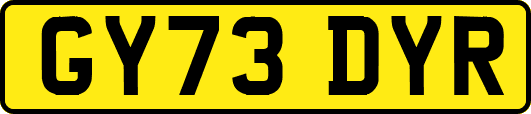 GY73DYR