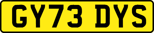 GY73DYS