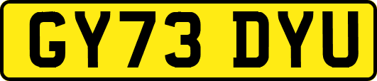 GY73DYU