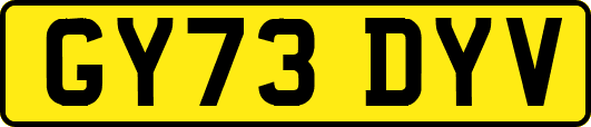 GY73DYV