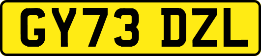 GY73DZL