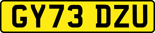 GY73DZU