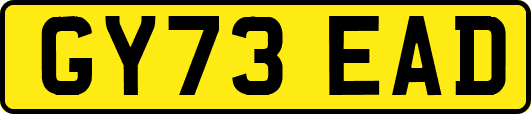 GY73EAD