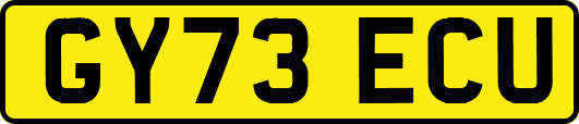 GY73ECU