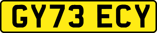 GY73ECY