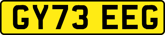 GY73EEG
