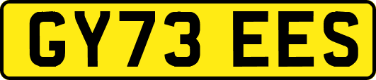 GY73EES